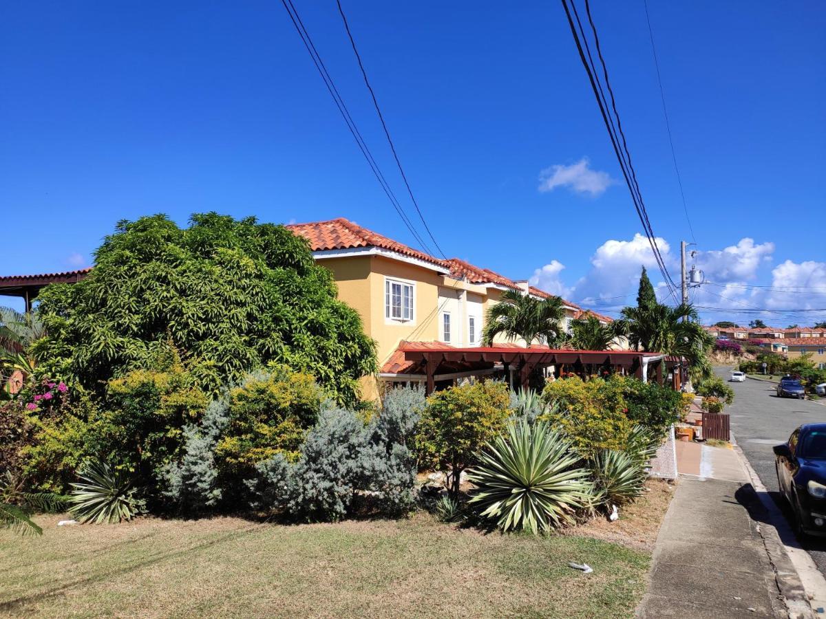 Montego Bay Garden Studio Exterior foto